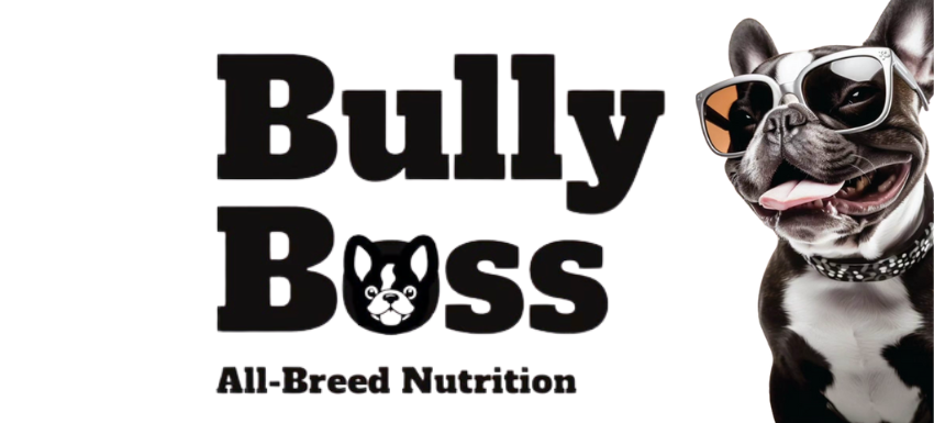 Bully Boss
